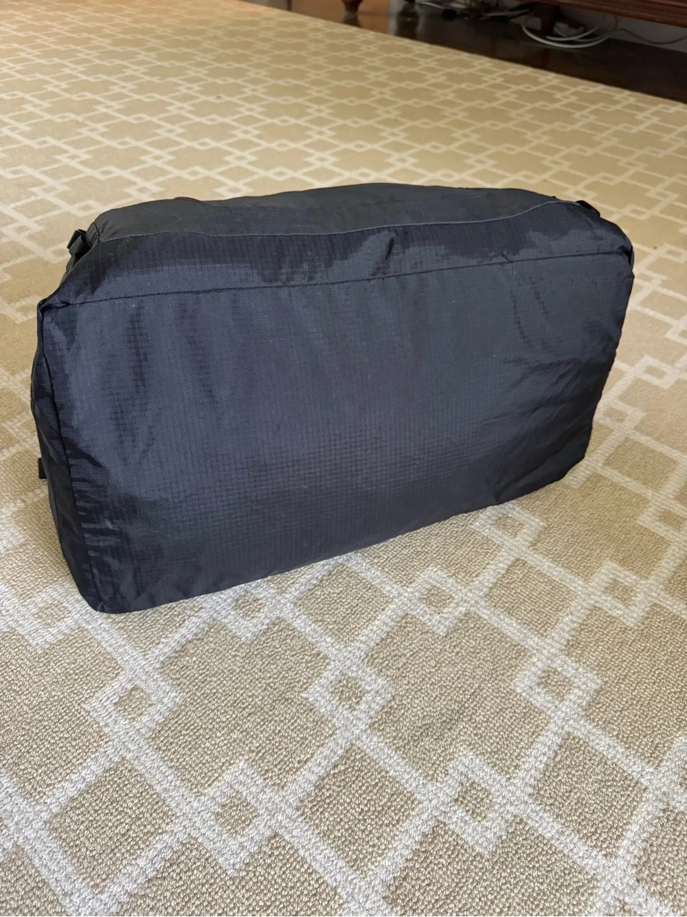 Patagonia Ultralight Black Hole Duffel Bag Backpack Black Packable Travel 30L